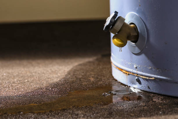 Best Water damage restoration near me  in Chico, TX