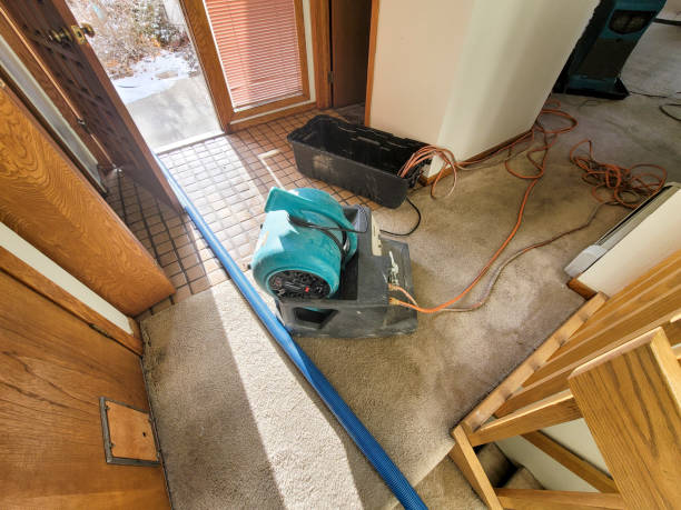 Water damage restoration experts in Chico, TX