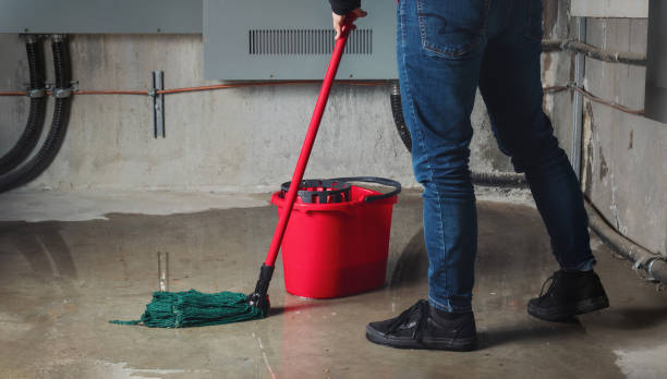 Best Mold removal after water damage  in Chico, TX