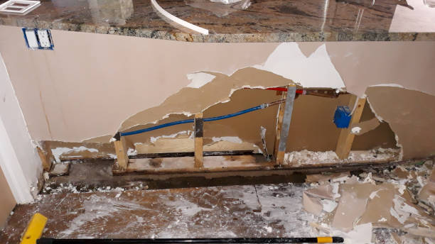 Best Water damage repair service  in Chico, TX