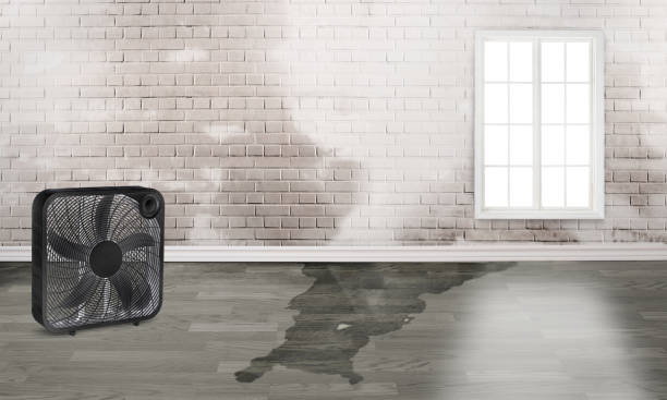 Best Commercial water damage restoration  in Chico, TX