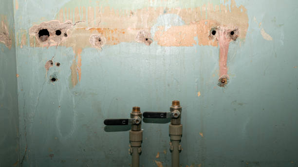 Best Water damage restoration near me  in Chico, TX