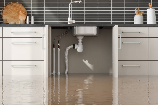 Best Carpet water damage restoration  in Chico, TX