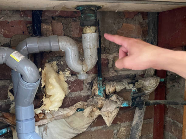 Best Water damage restoration services  in Chico, TX